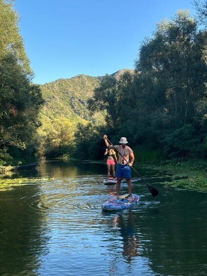 Two people paddleboarding on a calm river surrounded by lush greenery and hills. 3