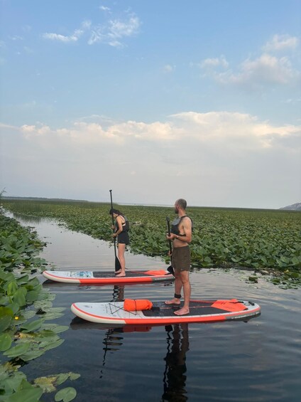 Two people paddleboarding on a calm lake surrounded by lily pads. 5