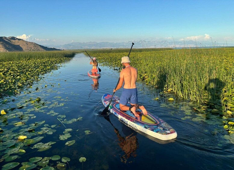 Two people paddleboarding on a calm waterway surrounded by lush greenery and distant mountains. 2
