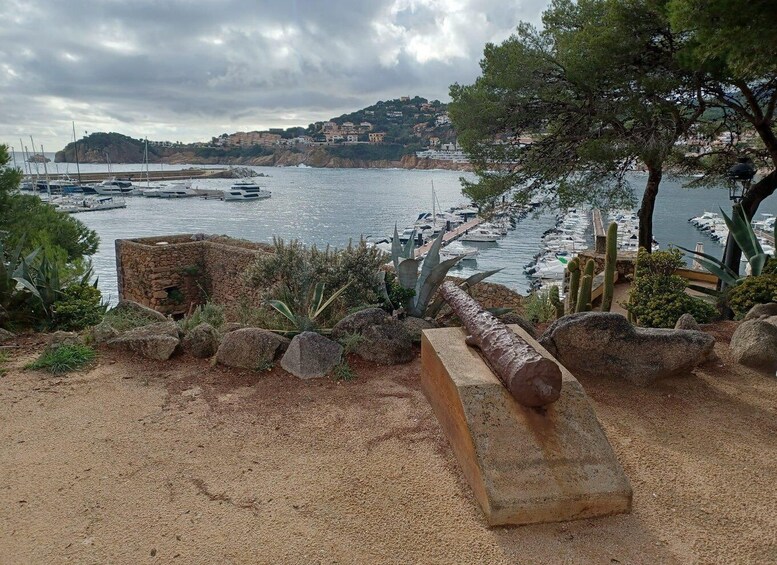 A coastal marina with boats, a stone wall, and a cactus garden. 1