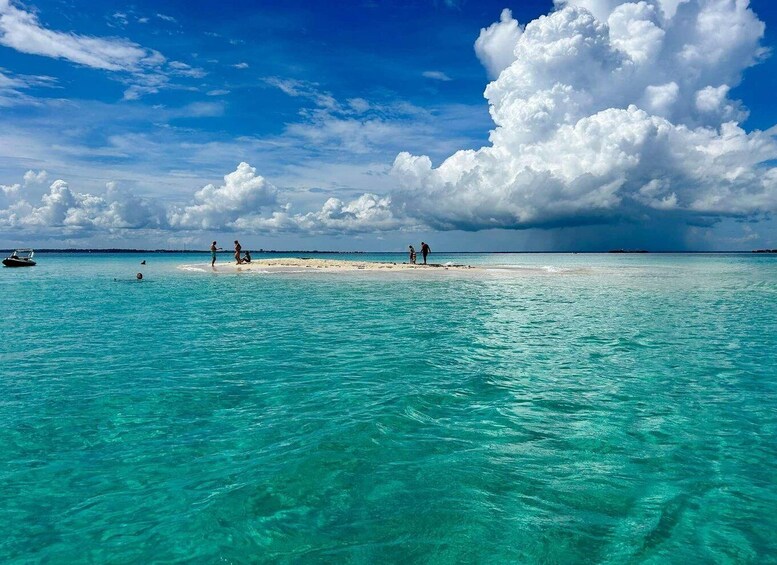 Picture 5 for Activity Full Day Safari Blue Sea Adventure in Zanzibar with Lunch 5