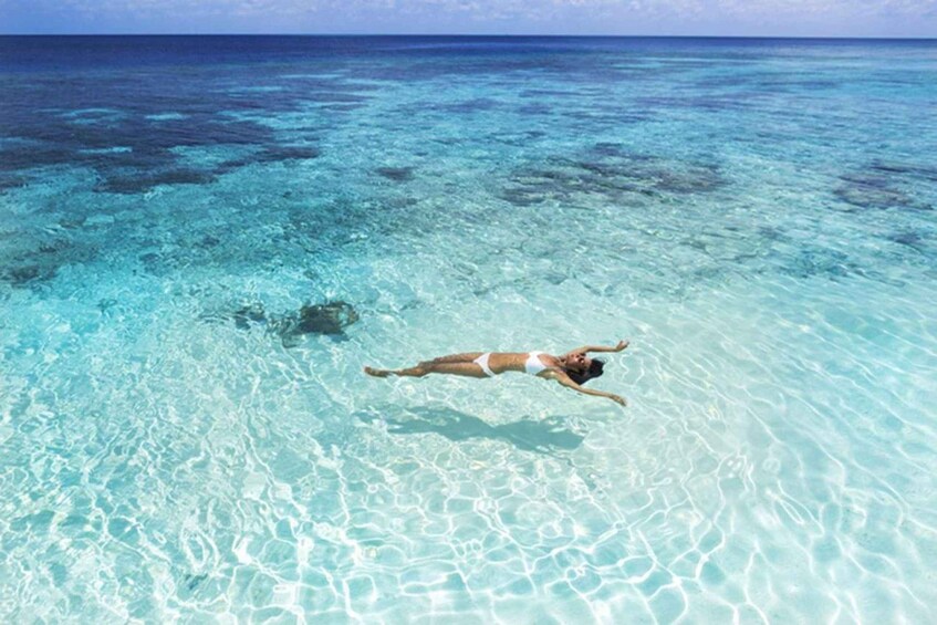Picture 6 for Activity Full Day Safari Blue Sea Adventure in Zanzibar with Lunch 2