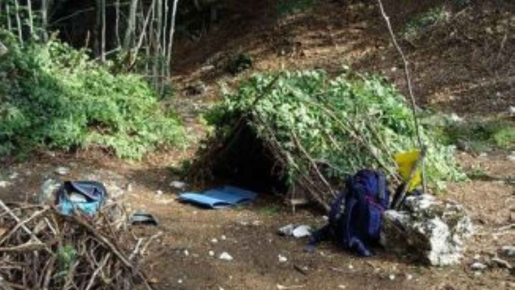 A makeshift shelter in a forested area with a blue tarp and a yellow object nearby. 2