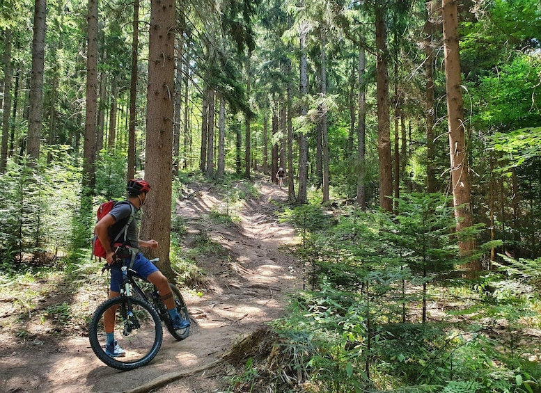 Henkilö ajaa maastopyörällä metsäpolulla. 3