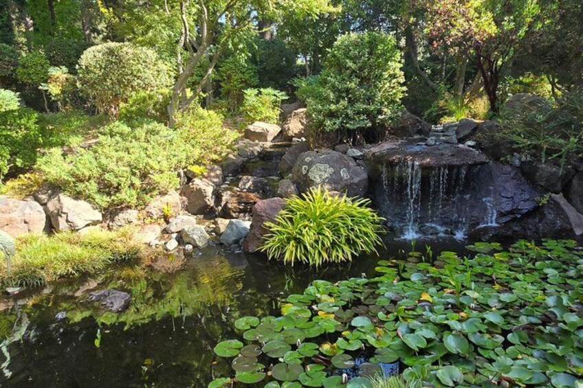 A pond with lily pads, a waterfall, and surrounding greenery. 5