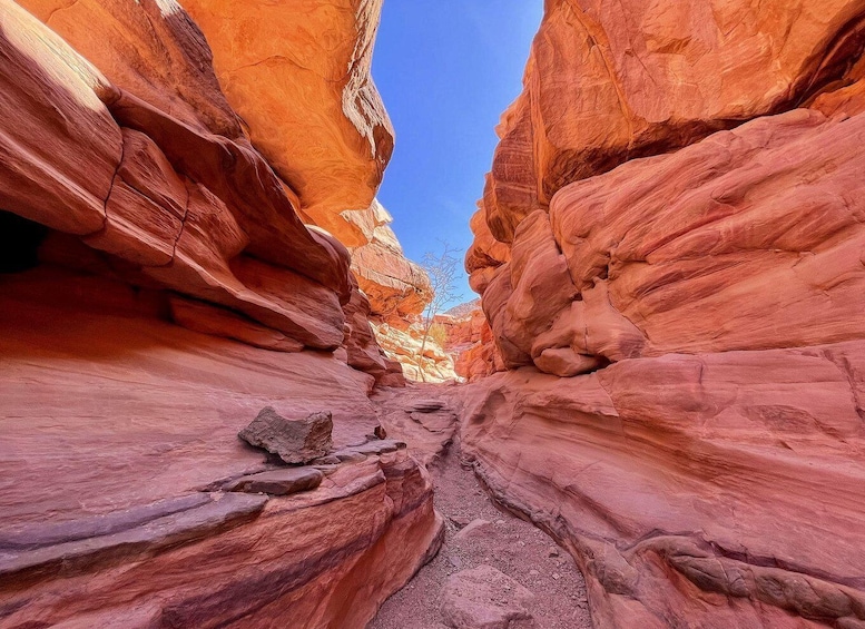A narrow canyon with red rock walls and a clear blue sky. 1