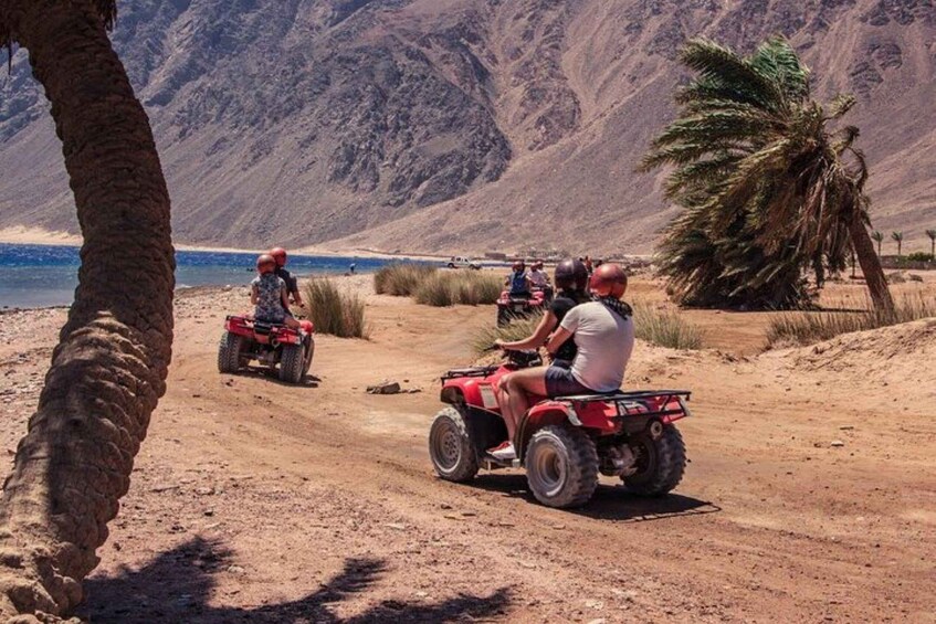 A group of people on ATVs on a dirt path with a mountain and palm tree in the background. 5