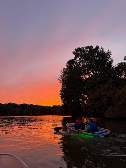 Picture 1 for Activity Nashville: Old Hickory Lake Clear Kayak Wildlife Tour 2
