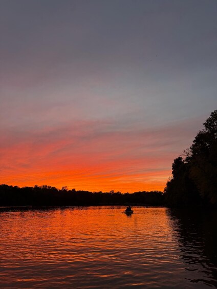 Picture 3 for Activity Nashville: Old Hickory Lake Clear Kayak Wildlife Tour 4