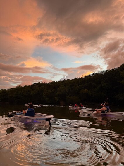 Picture 2 for Activity Nashville: Old Hickory Lake Clear Kayak Wildlife Tour 3
