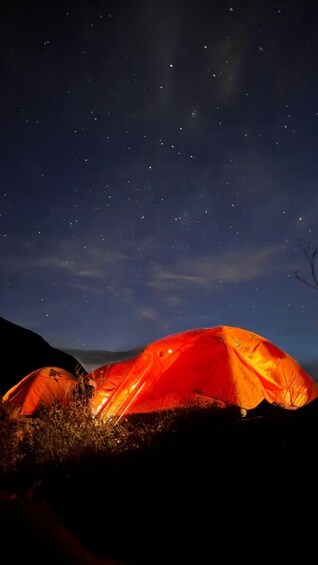 Two red tents set up in a grassy area under a starry night sky. 3