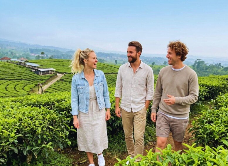 Picture 11 for Activity Jakarta: Bandung Waterfall, Dusun Bambu & Tea Tour 5