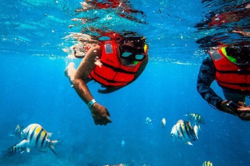 Two people scuba diving with red life vests, surrounded by tropical fish. 3