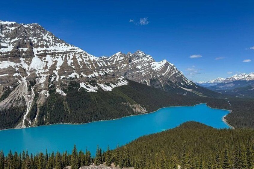 5 Lakes day tour: Moraine, Louise, Bow, Peyto, small groups! 4