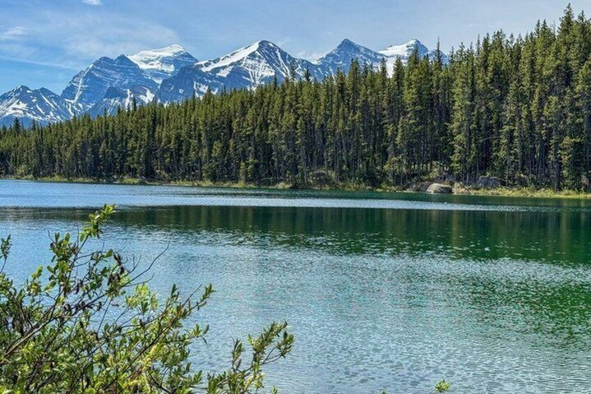 5 Lakes day tour: Moraine, Louise, Bow, Peyto, small groups! 5