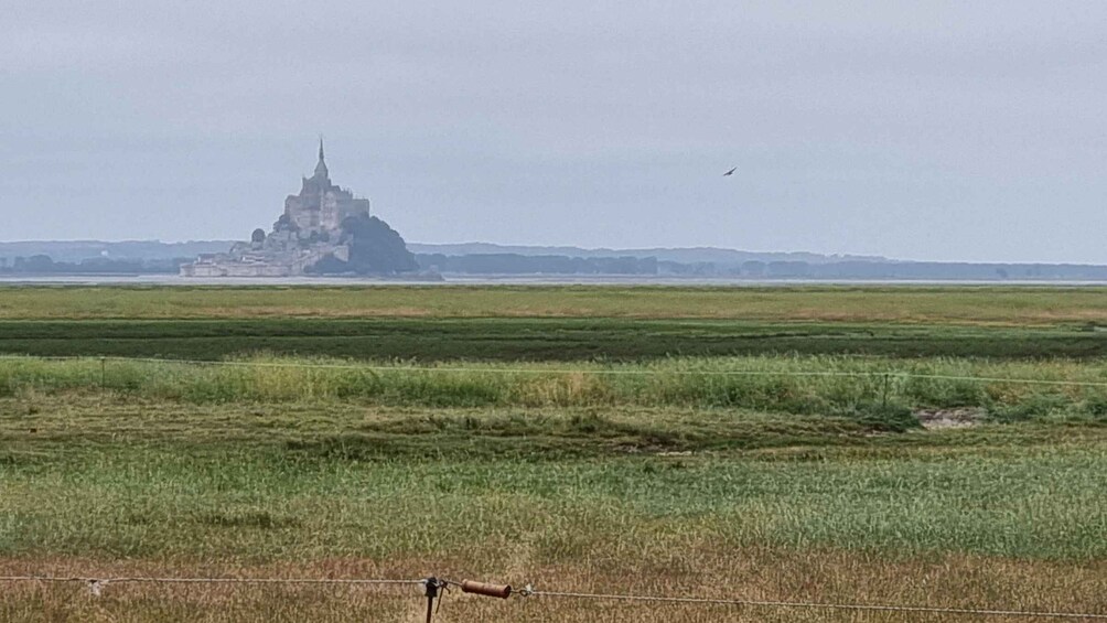 A flat landscape with a distant building and a bird in flight. 5