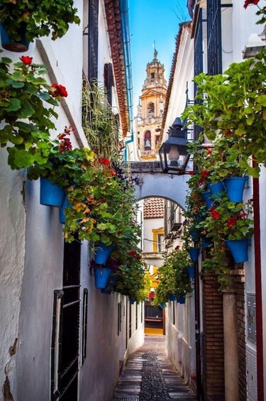 A narrow alleyway with hanging flower pots and a bell tower in the background. 4
