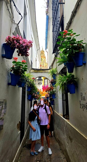 A narrow alleyway with hanging flower pots and a building with a sign reading 'Piel Espań.' 3