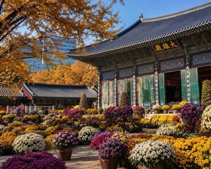 Picture 24 for Activity Seoul: Morning Temple, Tea & Traditional Seoul Walk 3