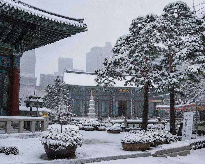 Picture 25 for Activity Seoul: Morning Temple, Tea & Traditional Seoul Walk 5