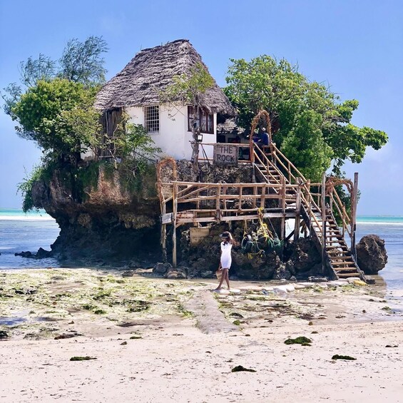 Picture 4 for Activity Jozaniforest, kuza cave, blue lagoon, rock restaurant 2