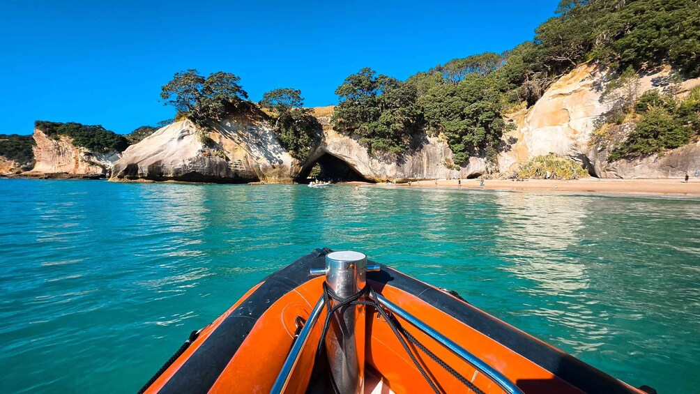 Picture 9 for Activity Cathedral Cove Scenic Cruises 2-Hour Boat Tour 4