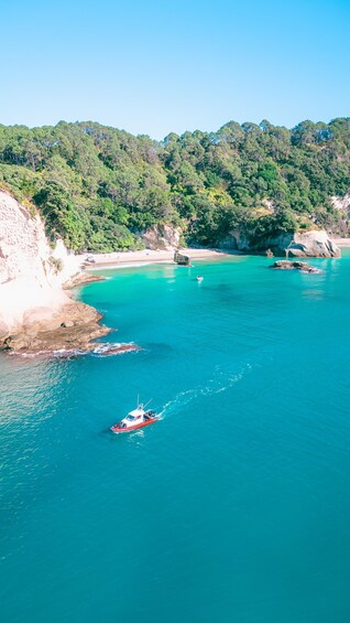 Picture 8 for Activity Cathedral Cove Scenic Cruises 2-Hour Boat Tour 3