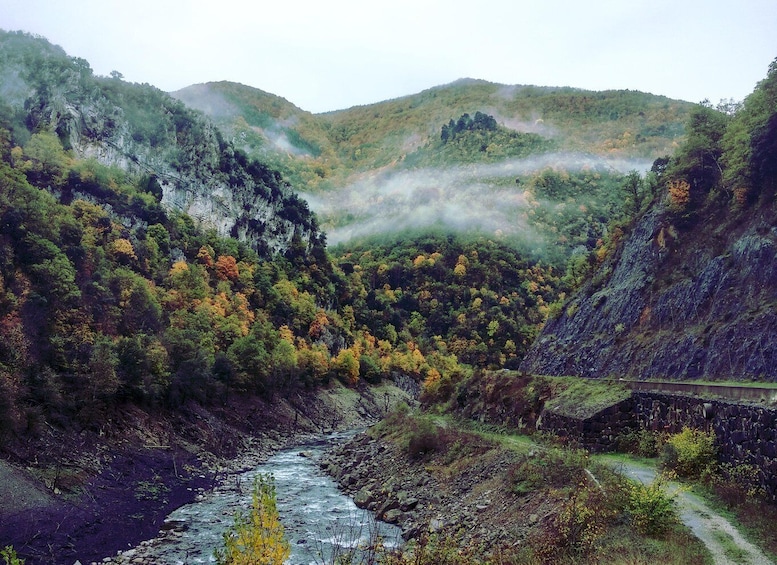 A river flowing through a valley with a stone bridge and dense forested hills. 5