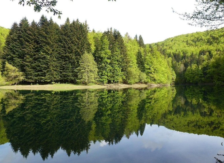 A calm lake reflecting dense forest and a clear sky. 4
