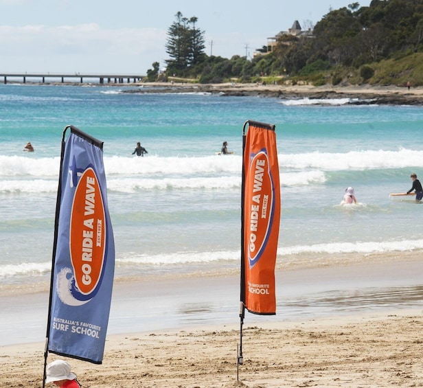Picture 1 for Activity Lorne: 2 Hour Surf Experience on the Great Ocean Road 2