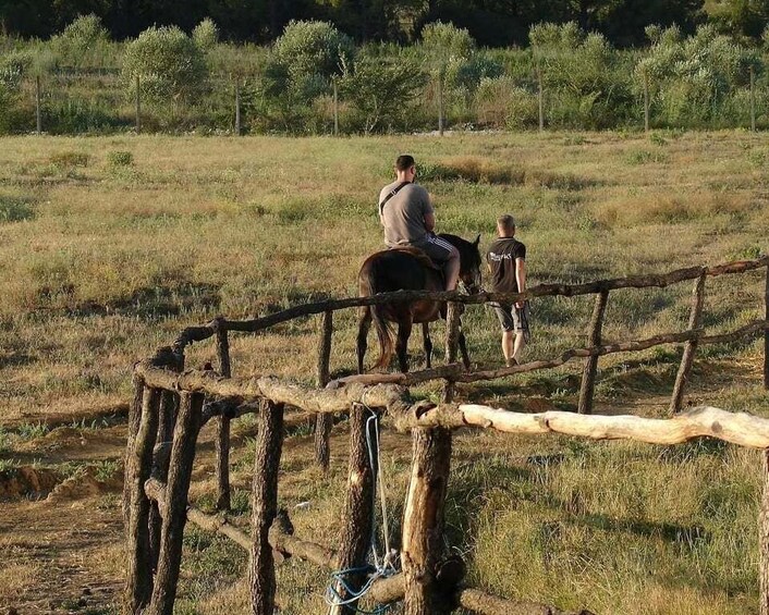 A person riding a horse in a grassy field with a wooden fence in the foreground. 2