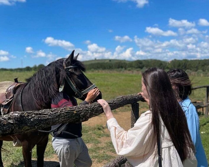 A person leading a horse by a rope across a field. 1