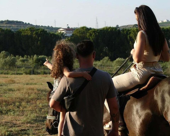 A person riding a horse in a grassy field with trees and power lines in the background. 5