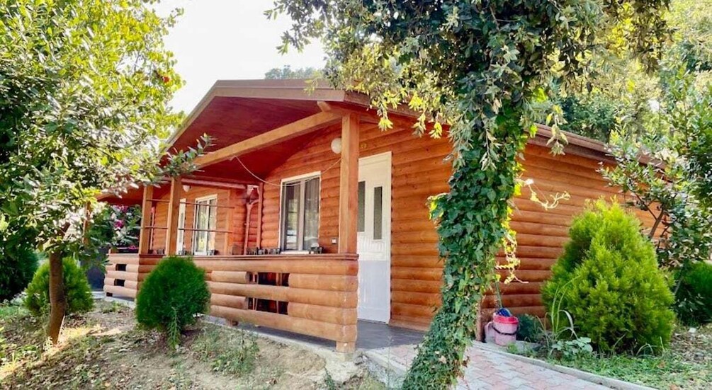 A wooden cabin with a porch, surrounded by greenery and trees. 3