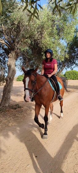 A person riding a horse on a dirt path with trees and a clear sky in the background. 2