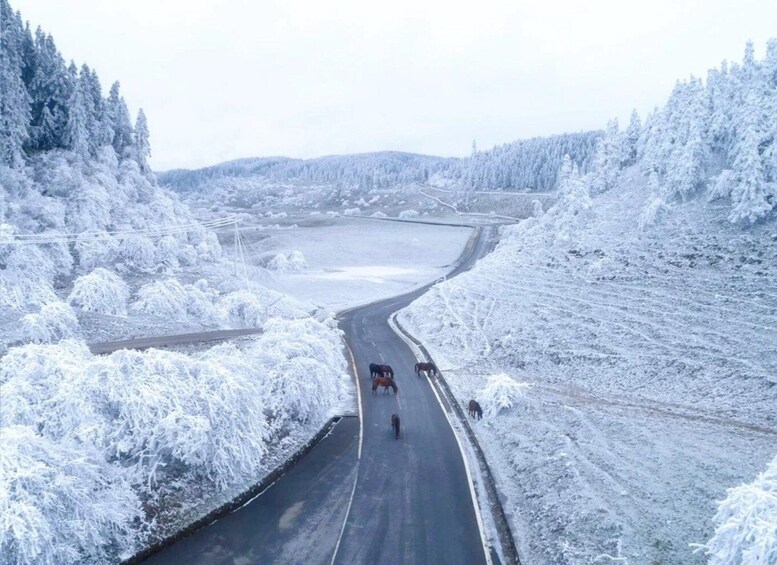 A snow-covered landscape with a winding road, dense forests, and a frozen lake in the distance. 5