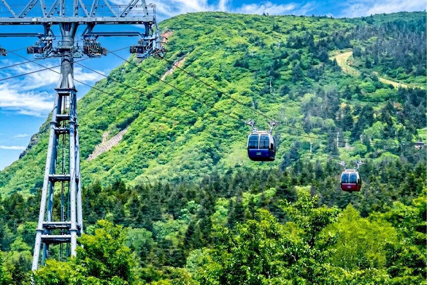 Picture 2 for Activity Sendai: Japan's Must-See Ginzan Onsen Zao Ropeway 2-Day Tour 2