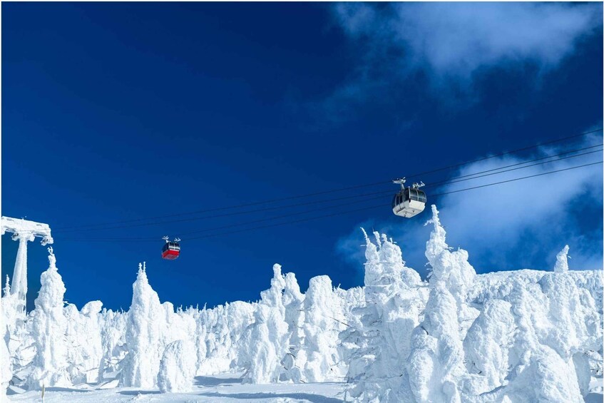 Picture 3 for Activity Japan's Must-See Wonders Ginzan Onsen Zao Ropeway 2-Day Tour 3