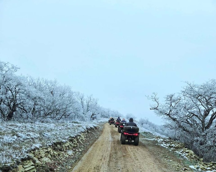 A group of people on ATVs on a snow-covered dirt road. 1