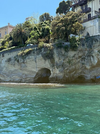 A coastal cliff with a cave entrance, lush greenery, and a clear blue sea. 2