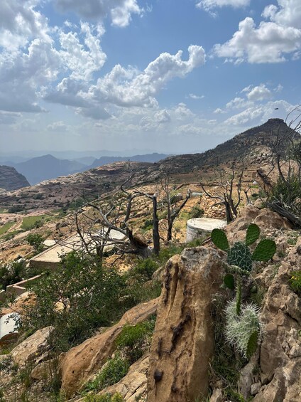 A desert landscape with rocky terrain, sparse vegetation, and distant mountains under a partly cloudy sky. 1