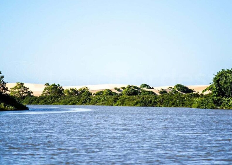 A river with a sandy bank and dense greenery on the opposite side. 1