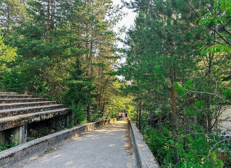 A paved pathway flanked by dense green trees, leading to a stone staircase. 4