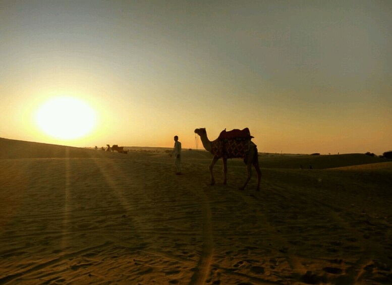 A camel and a person in a desert at sunset. 2