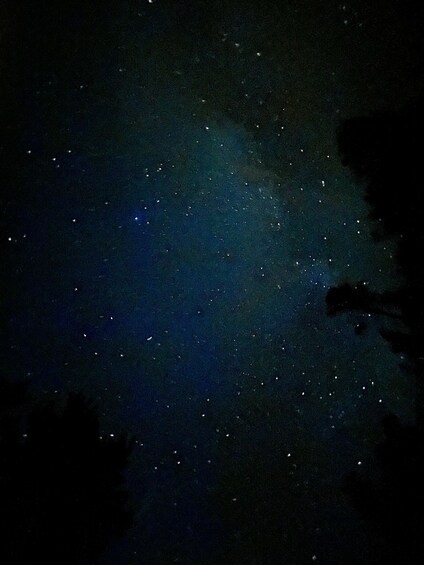 A starry night sky with visible stars and a faintly visible galaxy. 5
