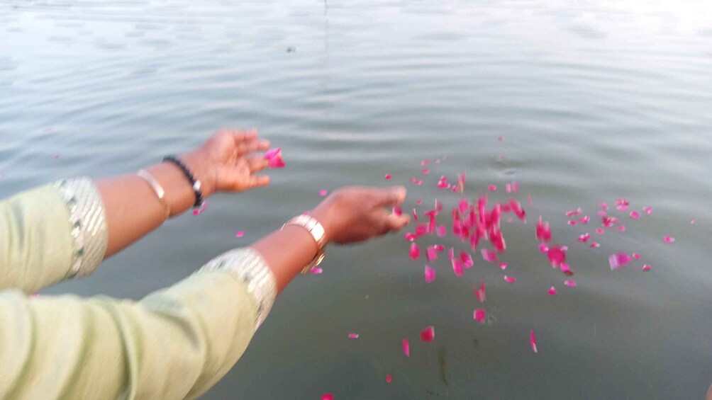 A person throwing pink flower petals into the water. 1