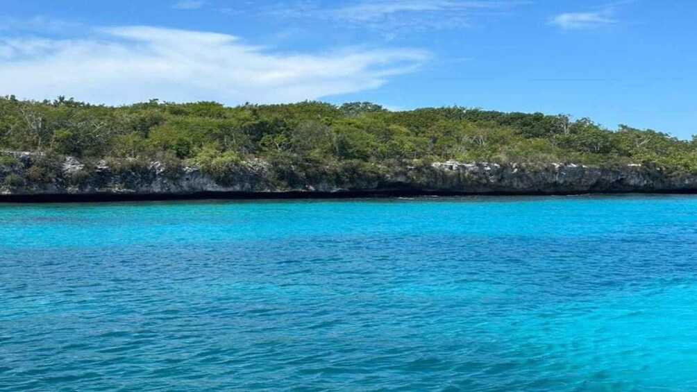 A turquoise sea with a rocky coastline and dense green vegetation. 1