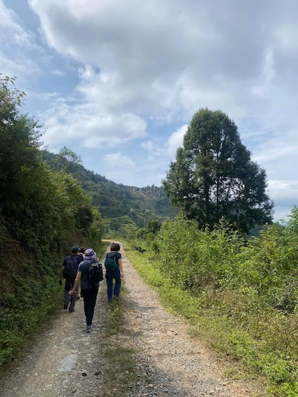A group of hikers on a gravel path surrounded by lush greenery and hills. 1