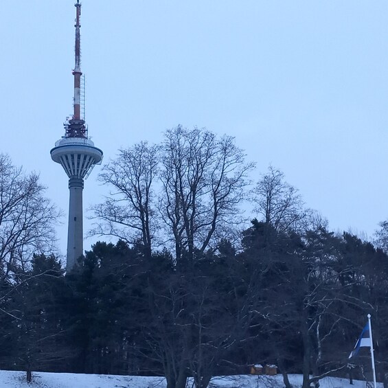 A tower with a spherical observation deck, surrounded by leafless trees and a snow-covered ground. 1