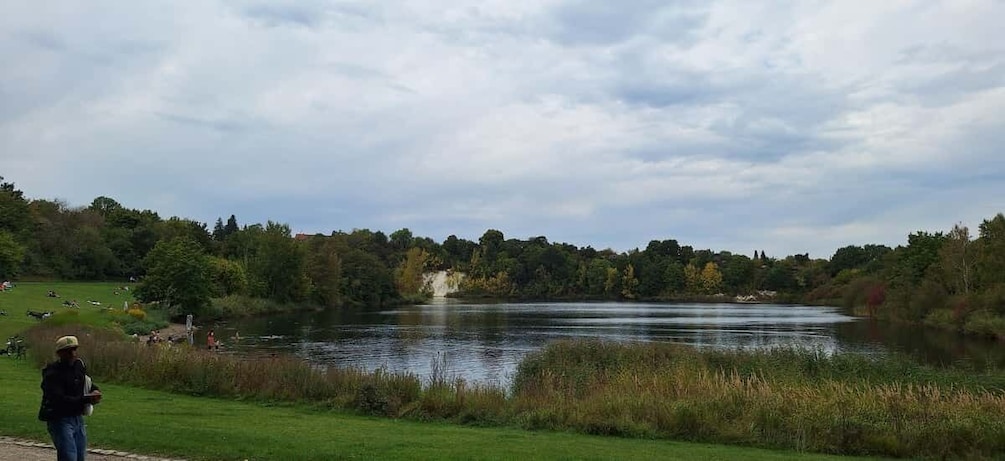 A lake surrounded by trees and a grassy area with a person standing by the water. 5